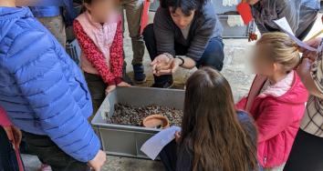 Copertina I colori delle pietre