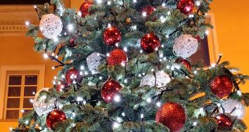 Un libro sotto l'albero