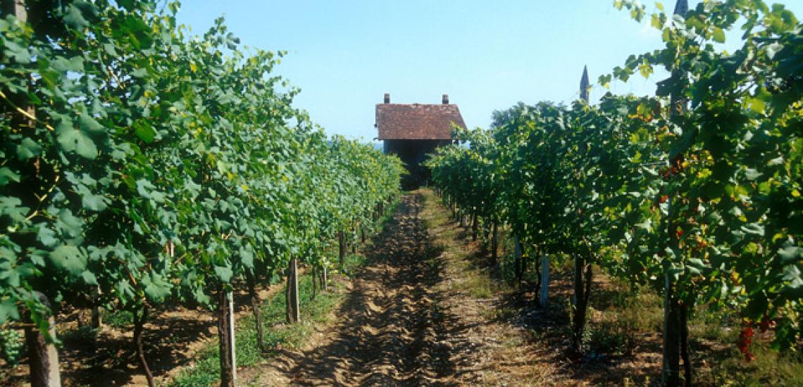 Tra le cascine di Angera