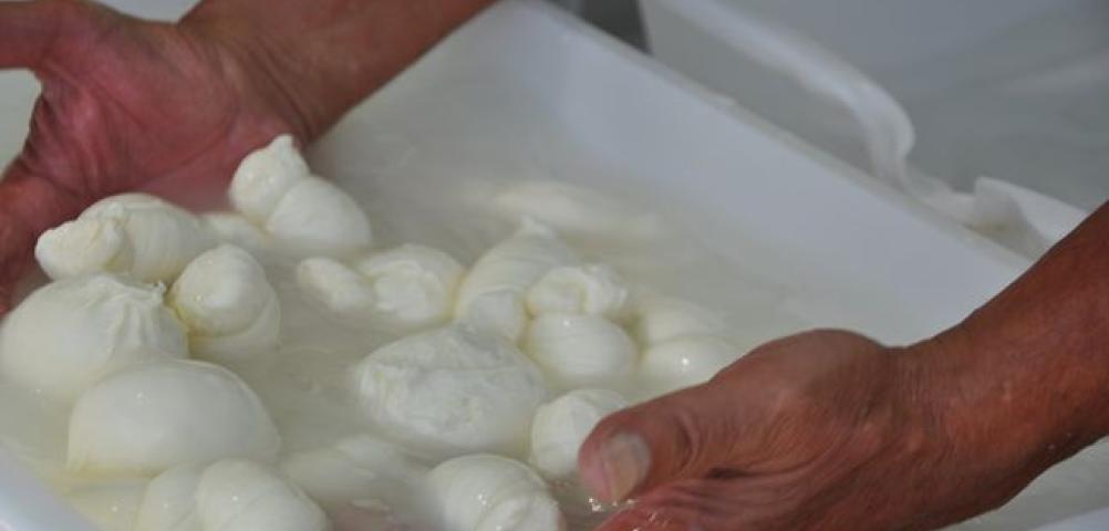 Altri prodotti locali