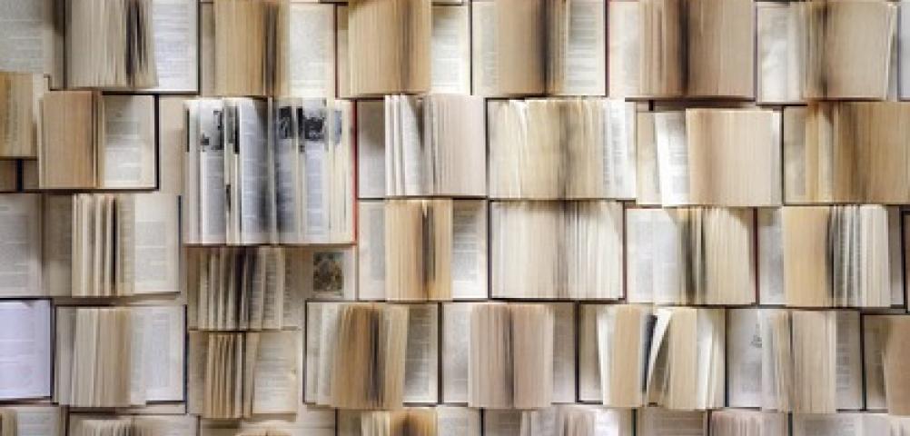 Mercatino del libro usato 2025