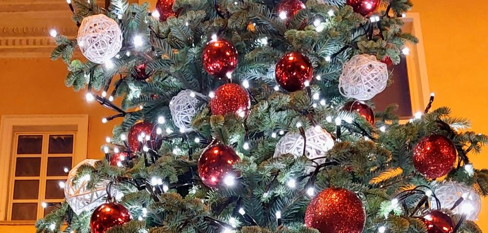 Un libro sotto l'albero